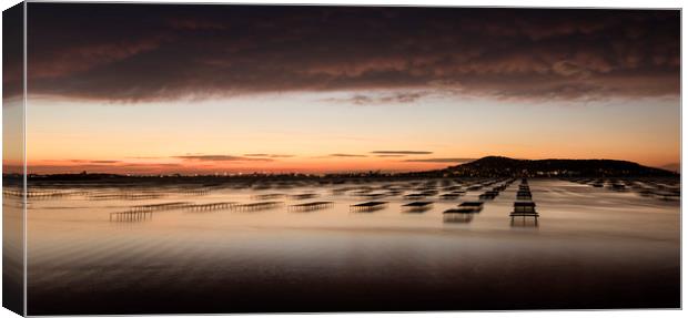 Oyster Beds at Dawn II Canvas Print by Janette Hill