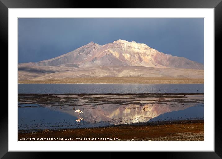 Chilean Flamingo and Lake Chungara Chile Framed Mounted Print by James Brunker