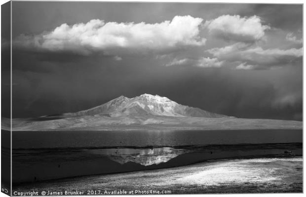 Lauca National Pak in Black and White Chile Canvas Print by James Brunker