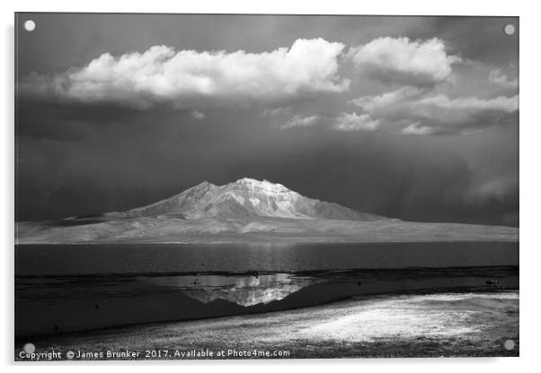 Lauca National Pak in Black and White Chile Acrylic by James Brunker