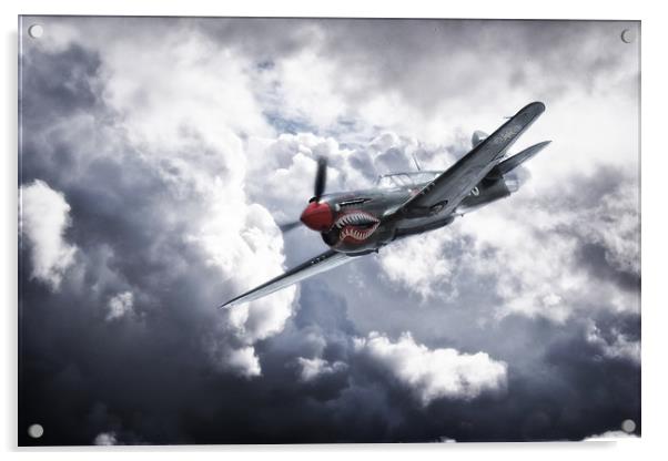 Warhawk Attack Acrylic by J Biggadike
