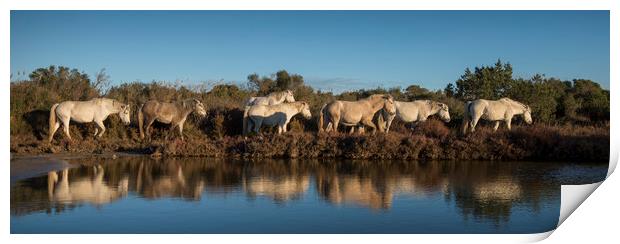 White Horses Reflection Print by Janette Hill