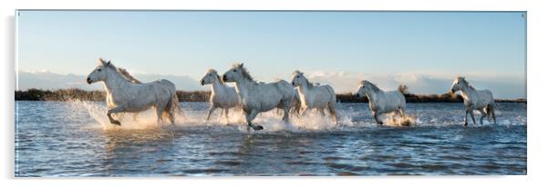 Sea Horses panorama Acrylic by Janette Hill