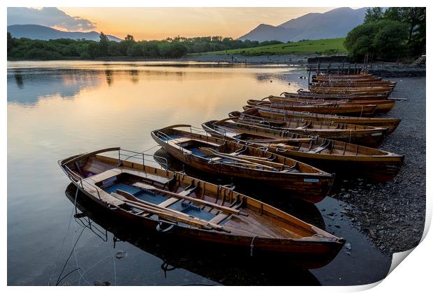 Derwent rowing boats Print by Tony Bates