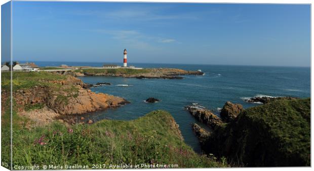 Buchan Ness Lighthouse Canvas Print by Maria Gaellman