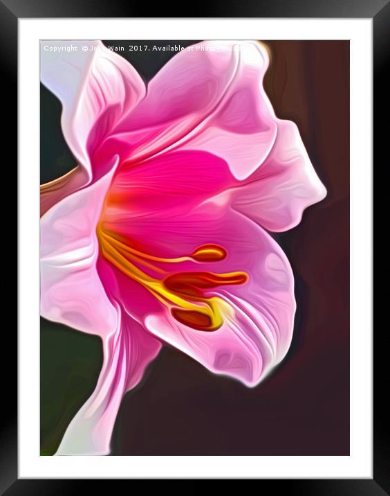 Lily (Digital Art) Framed Mounted Print by John Wain