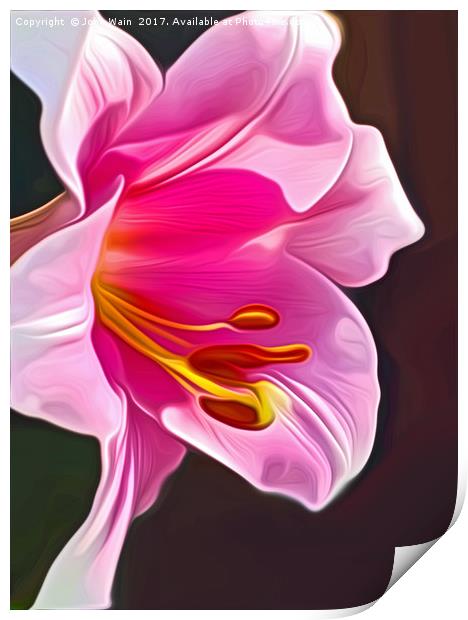 Lily (Digital Art) Print by John Wain