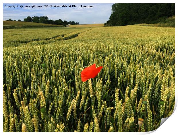 lone Poppy watches over field of hope and glory  Print by mick gibbons