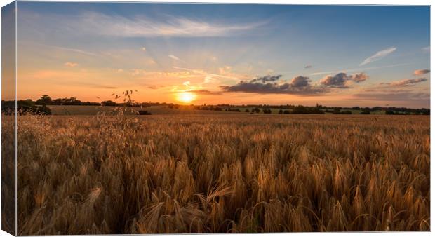 Sunset at Battisford Canvas Print by Nick Rowland