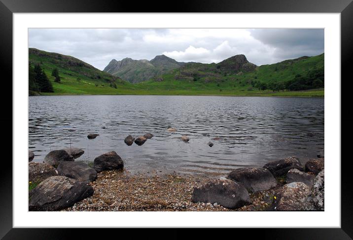 Blea Tarn Framed Mounted Print by eric carpenter