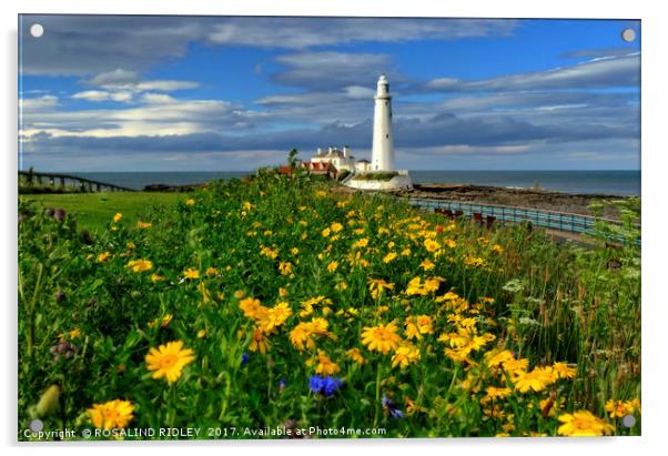 " Wild Flowers at St.Mary's Lighthouse" Acrylic by ROS RIDLEY