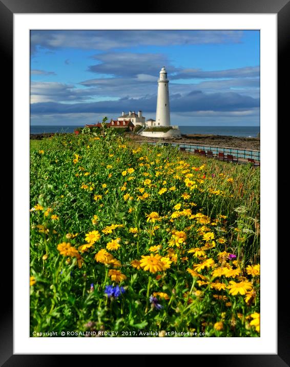 "Portrait of St.Mary's Lighthouse WhitleyBay" Framed Mounted Print by ROS RIDLEY