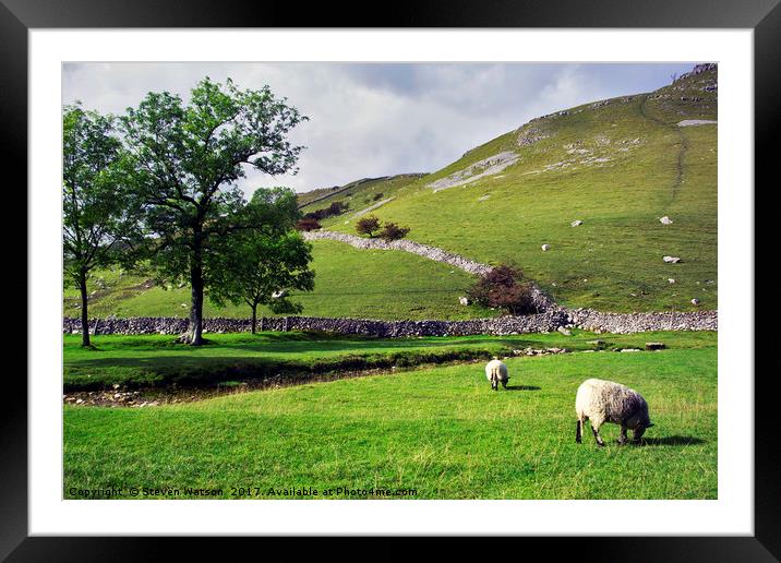 Sheep May Safely Graze Framed Mounted Print by Steven Watson