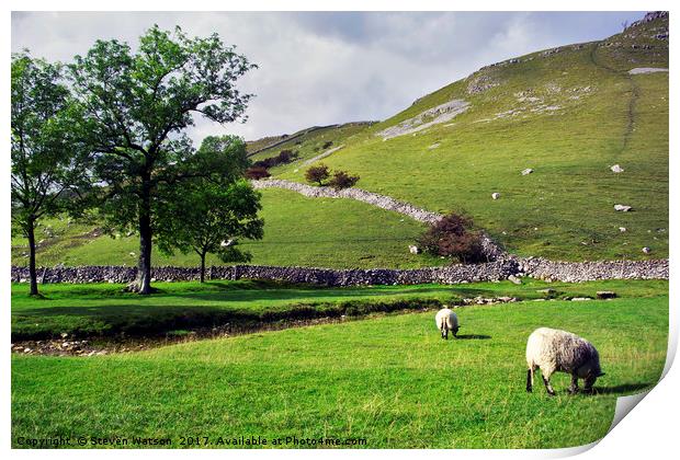 Sheep May Safely Graze Print by Steven Watson