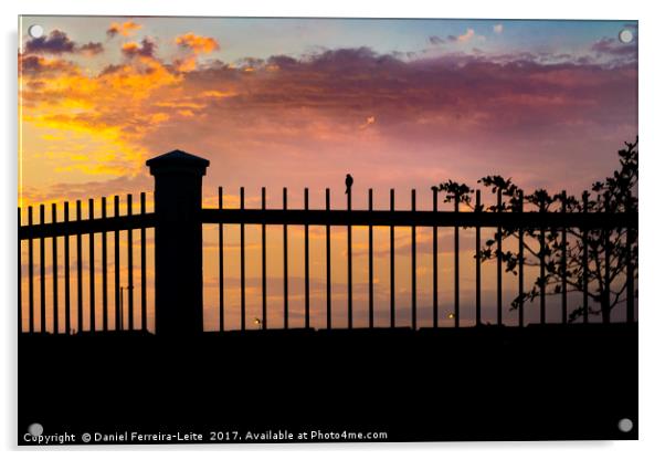 Sunset Scene Small Bird Over Fence Acrylic by Daniel Ferreira-Leite