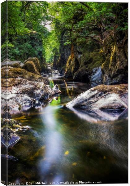 Summer At Fairy Glen  Canvas Print by Ian Mitchell