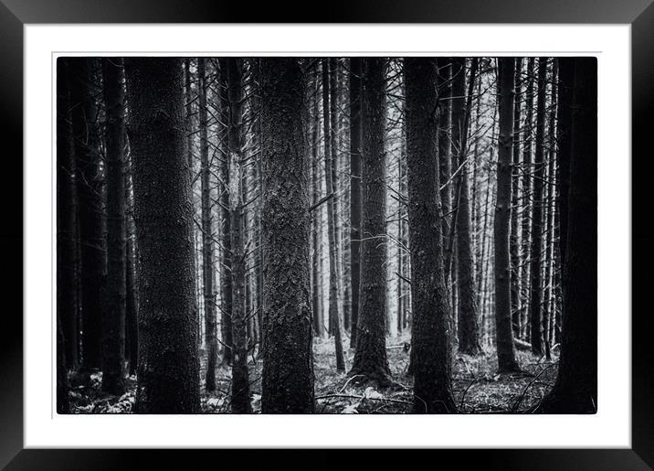 Trees in the mist Framed Mounted Print by Andrew chittock
