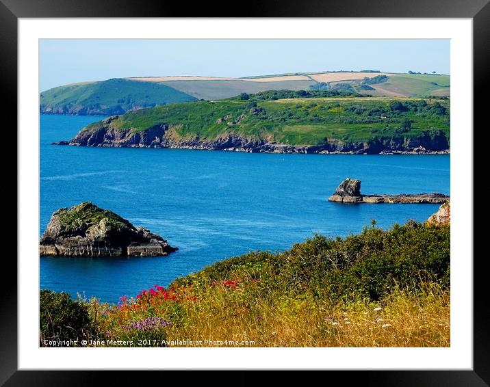 South Devon Coast                           Framed Mounted Print by Jane Metters