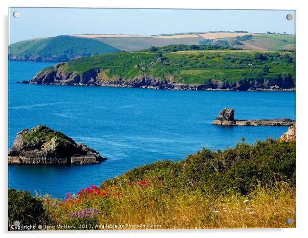 South Devon Coast                           Acrylic by Jane Metters