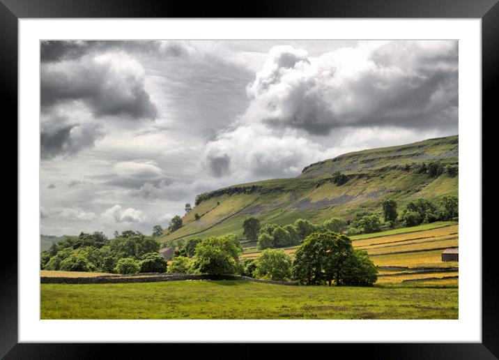 The Dales. Framed Mounted Print by Irene Burdell