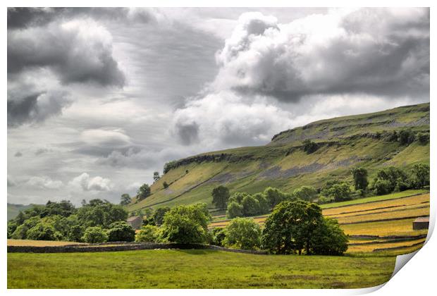 The Dales. Print by Irene Burdell