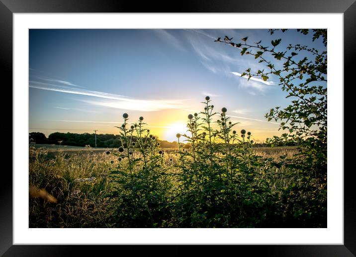 norfolk sunrise  Framed Mounted Print by james dorrington