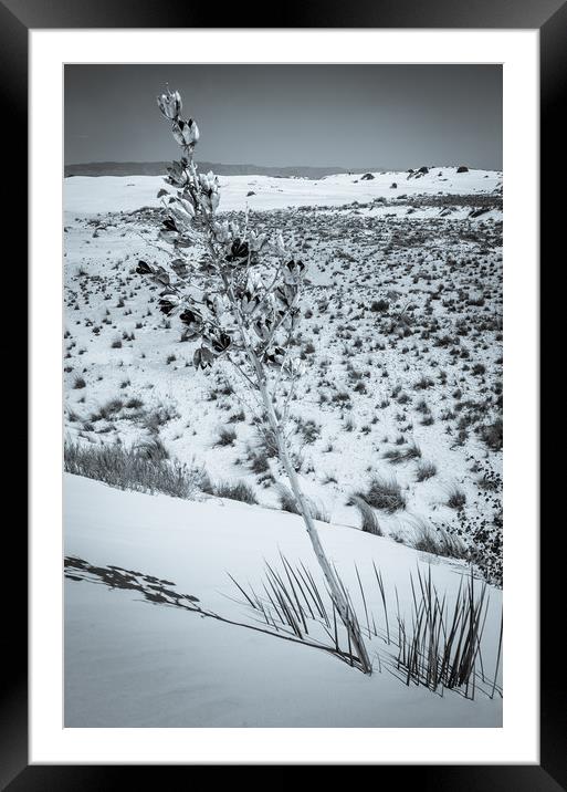 Against The Odds Framed Mounted Print by Gareth Burge Photography