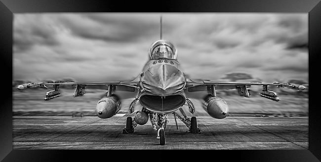 Mono Falcon Nose On Framed Print by Gareth Burge Photography