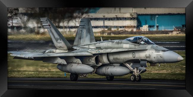 Hornet Ready to Roll Framed Print by Gareth Burge Photography