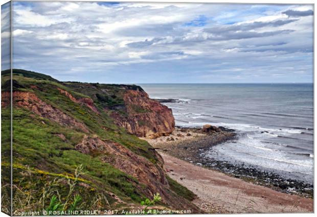 "The Magnesium Limestone Cliffs at Easington Colli Canvas Print by ROS RIDLEY