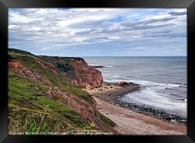 "The Magnesium Limestone Cliffs at Easington Colli Framed Print by ROS RIDLEY