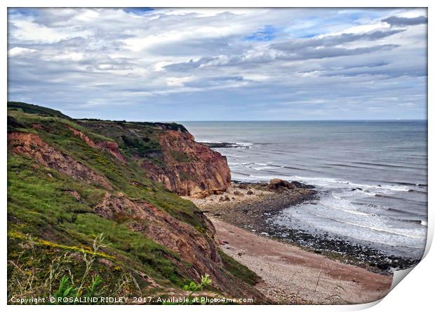 "The Magnesium Limestone Cliffs at Easington Colli Print by ROS RIDLEY