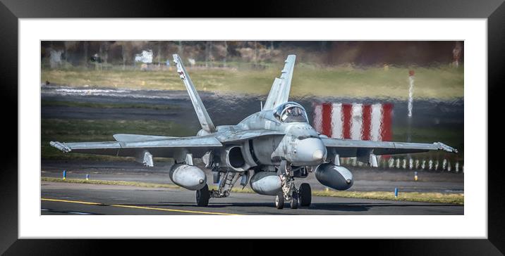 Hornet Waits Framed Mounted Print by Gareth Burge Photography