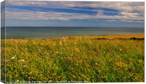 "Wild flowers , cornfields and blue sea" Canvas Print by ROS RIDLEY