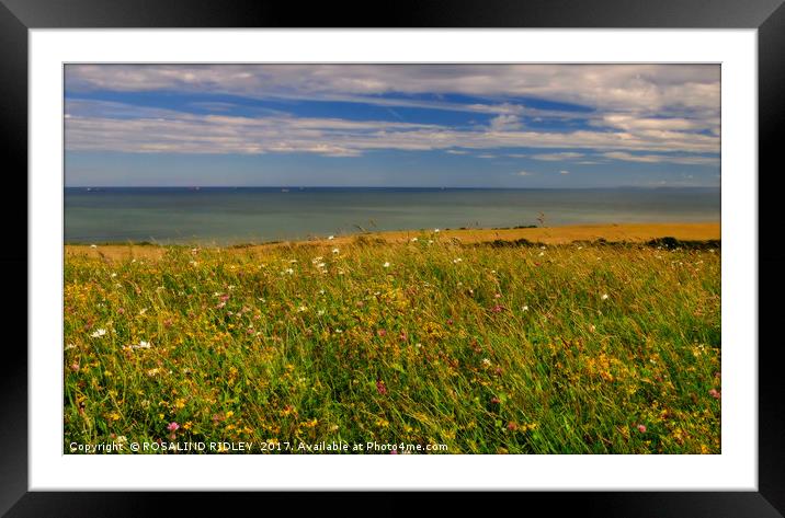 "Wild flowers , cornfields and blue sea" Framed Mounted Print by ROS RIDLEY