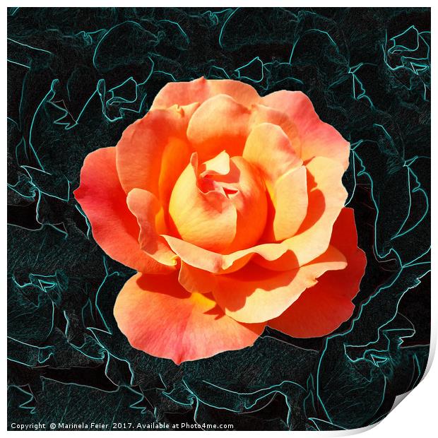 Bright orange rose Print by Marinela Feier