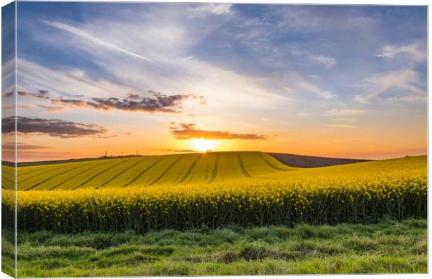 South Downs Sunset Canvas Print by Nigel Smith