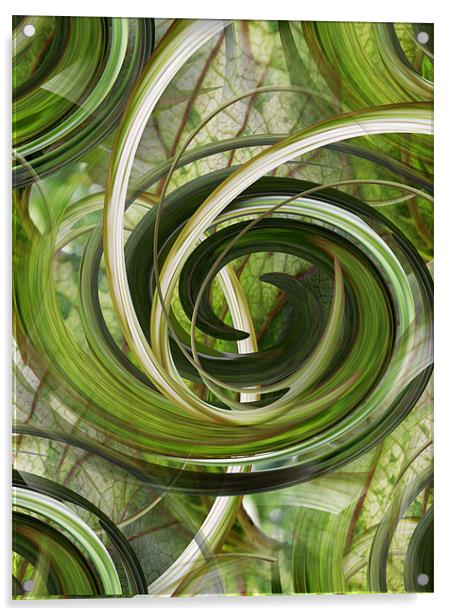 botanical swirls Acrylic by Heather Newton
