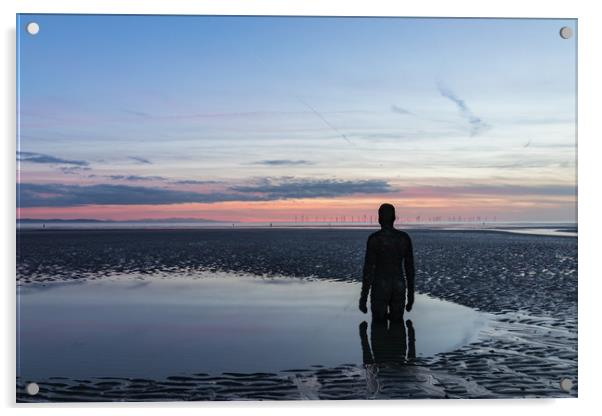 A Lone Watcher Acrylic by Nigel Smith
