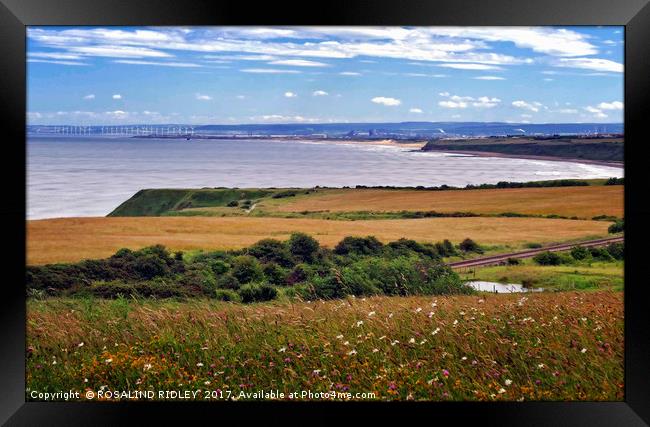 "Wild flowers , cornfields and blue sea 2" Framed Print by ROS RIDLEY