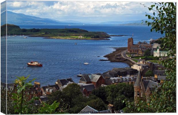 From MacCaig's Tower in Oban, Argyll.  Canvas Print by Steven Watson