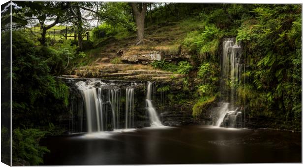 Lumb Hole Falls Canvas Print by David Oxtaby  ARPS