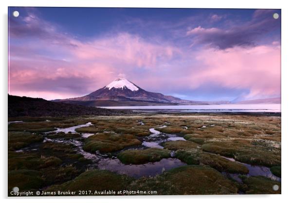 Parinacota Volcano and Lago Chungara Chile Acrylic by James Brunker