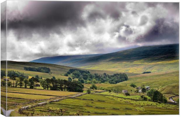 The Dales Yorkshire Canvas Print by Irene Burdell