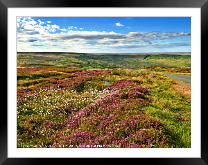 "The North York Moors in full bloom" Framed Mounted Print by ROS RIDLEY