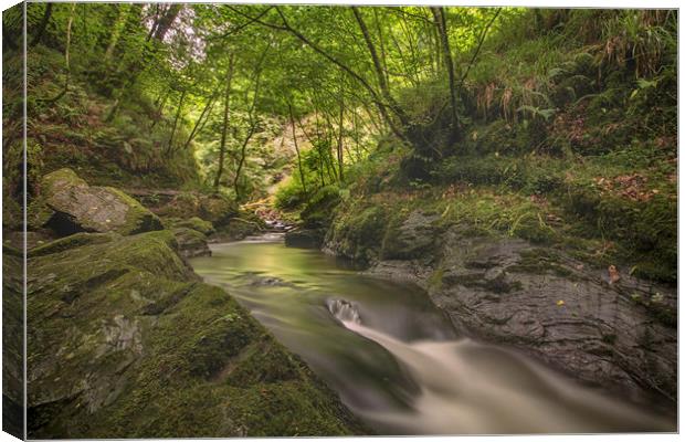 Lydford Gorge Dartmoor Canvas Print by Images of Devon