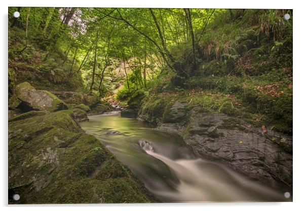 Lydford Gorge Dartmoor Acrylic by Images of Devon