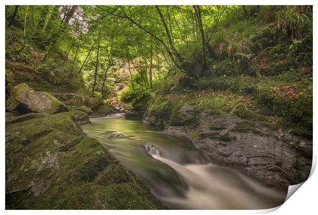 Lydford Gorge Dartmoor Print by Images of Devon