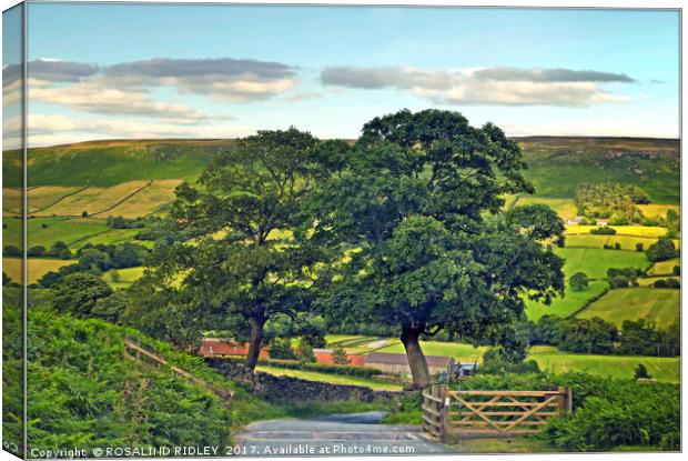 "Down the road from the moors to Botton Village" Canvas Print by ROS RIDLEY