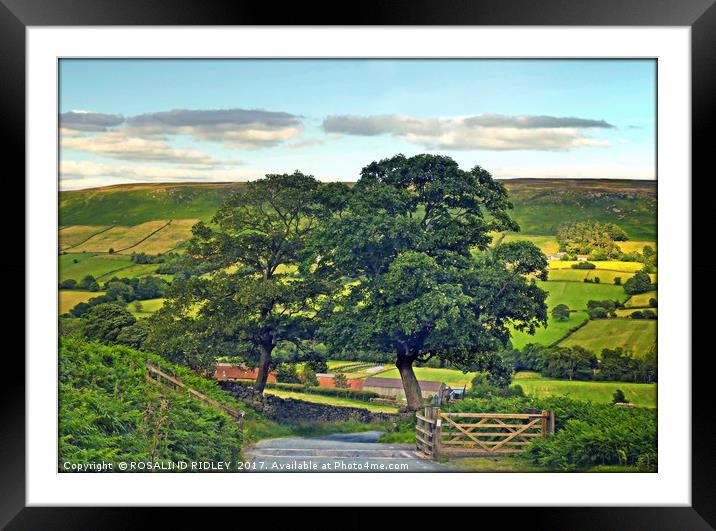 "Down the road from the moors to Botton Village" Framed Mounted Print by ROS RIDLEY